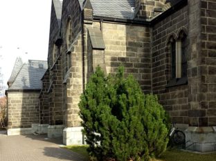 Aussenbereich CYMERA 20140226 125238