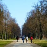 Allee im Großen Garten