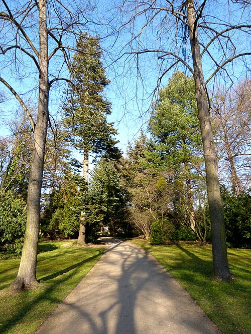 Waldweg im Großen Garten
