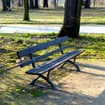 Bank im Großen Garten Dresden