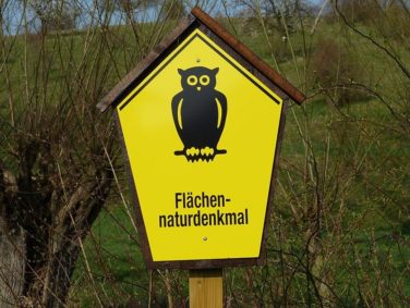 Flächennaturdenkmal Freital P1180325