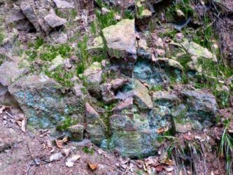 Gesteine mit Moos P1230290