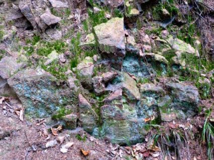 Gesteine mit Moos P1230290