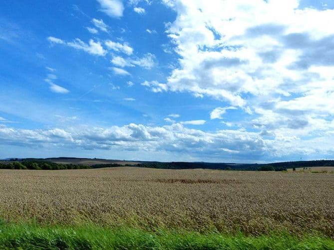 Feld und Himmel P1230521