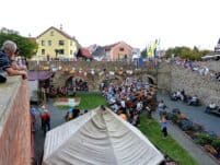 Tag der Sachsen 2014 Innenhof mit Besuchern P1240339