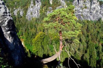 bastei ausflugsziele bild 21