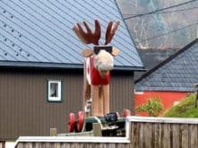 seiffen weihnachten 18