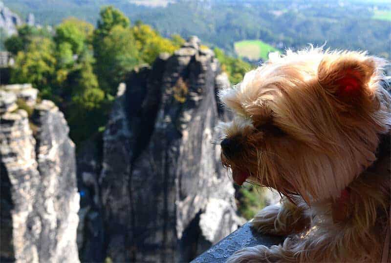 Ausflugsziel Bastei mit Hund