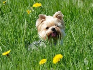 ausflug schloss rammenau sachsen 23