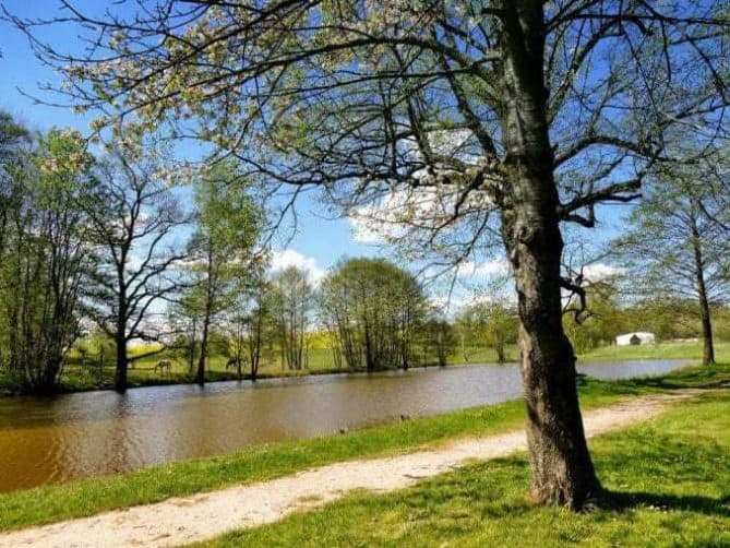 Weg am See entlang ausflug schloss rammenau sachsen 4