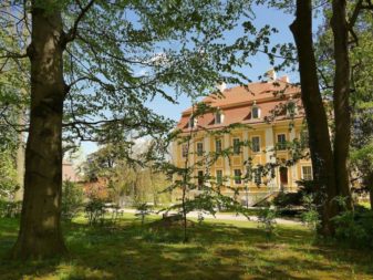 ausflug schloss rammenau sachsen 58