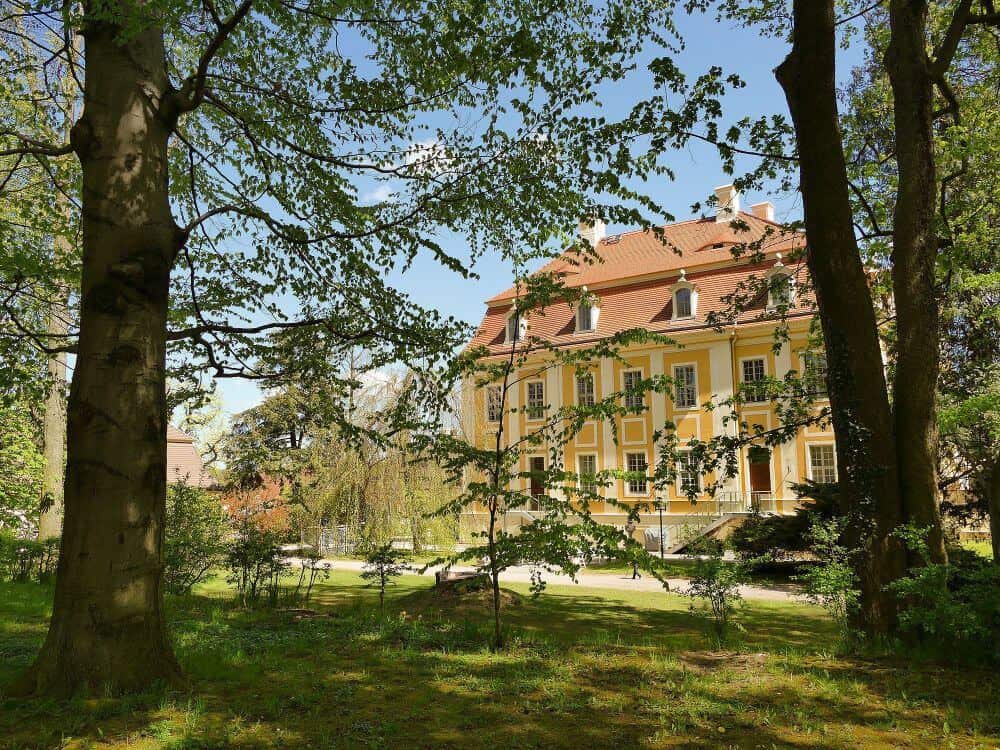 Blick aus dem Wald auf Schloss Rammenau