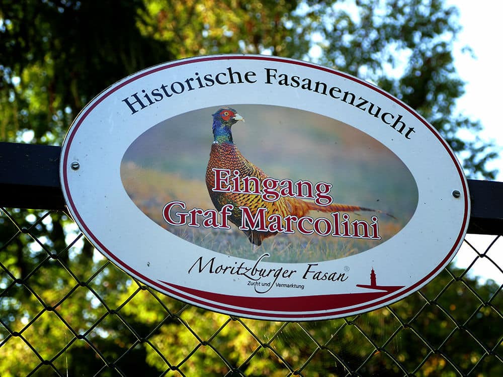 Historische Fasanenzucht