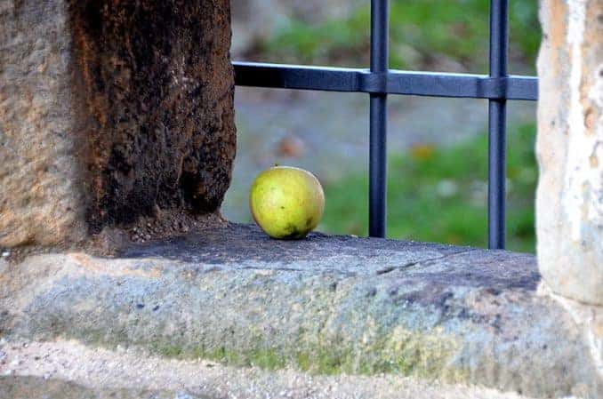 Einsamer Apfel