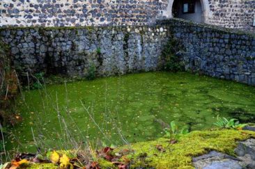 ausflug burg stolpen 054