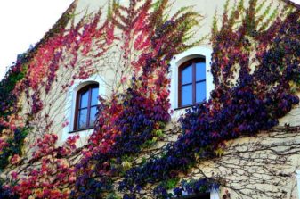 ausflug burg stolpen 116