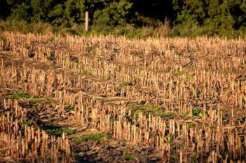 ausflug burg stolpen 119