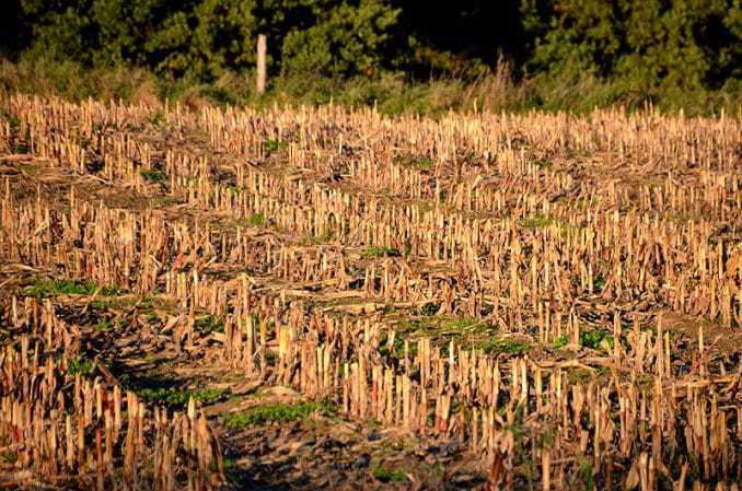 ausflug burg stolpen 119