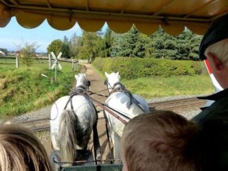 Mit der Kutsche zum Fisch- und Waldfest Moritzburg fischerfest moritzburg 003