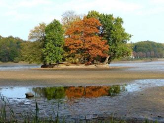 Insel ohne Wasser fischerfest moritzburg 027