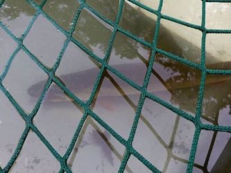 Fisch mit Netz fischerfest moritzburg 040