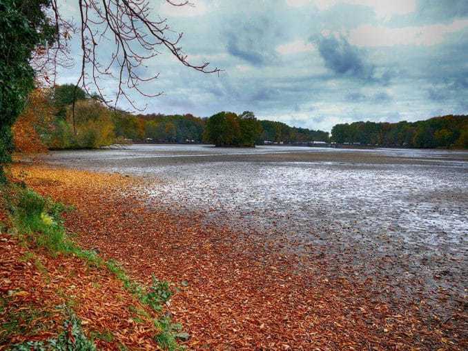 Teich ohne Wasser - Moritzburg