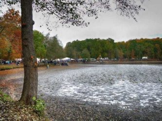 Abfischen Besucher fischfest moritzburg 008