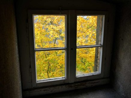 herbst fenster