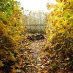 Herbststimmung Burg Hohnstein 1