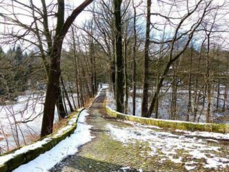 Weg hinauf zum Jadgschloss Grillenburg mit Allee jagdschloss grillenburg 013