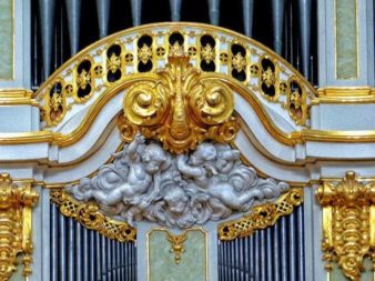 kathedrale dresden 030