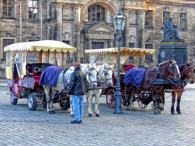 kathedrale dresden 068