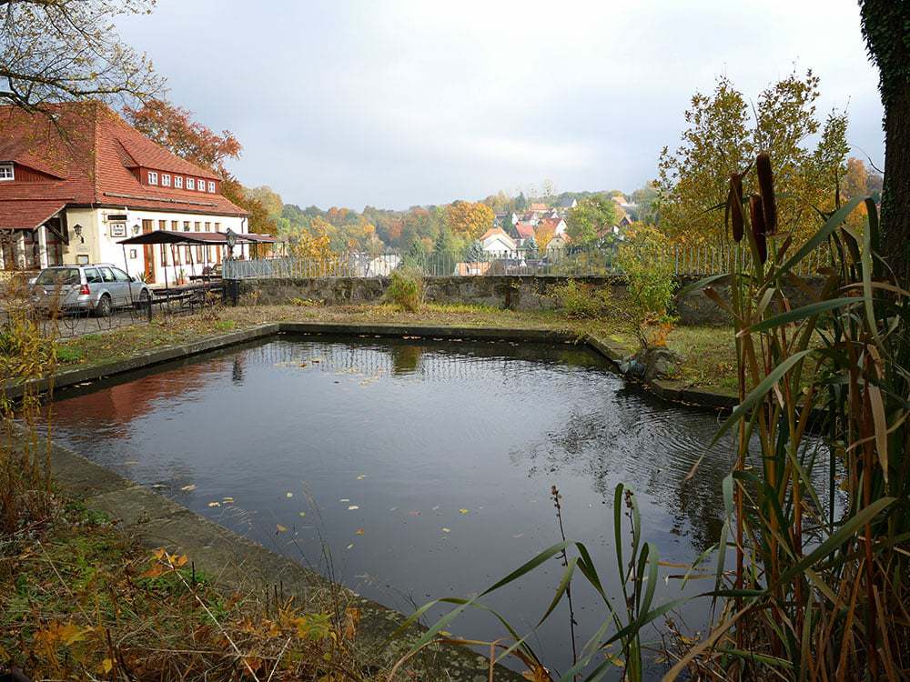 Teich Burg Hohnstein