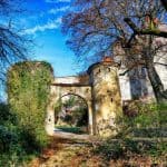 Torbogen Bäume Schloss Scharfenberg