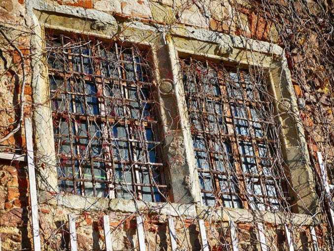Vergitterte Fenster mit Weinranken Steinmauer