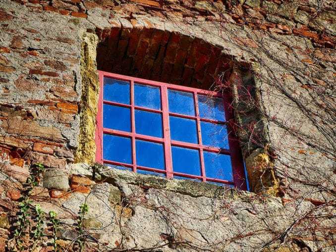 Altes Fenster mit Weinranken Steinbauer