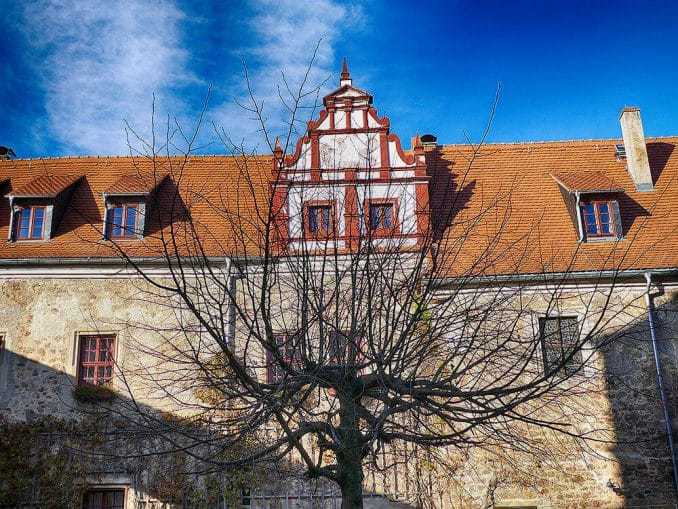 Schloss Scharfenberg Innenhof Baum