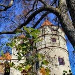Turm Schloss Scharfenberg Laub Bäume
