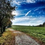 Feld Bäume Himmel Wolken