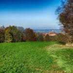 Landschaft Feld Bäume Ausblick