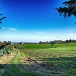 Aussicht Feld Landschaft Acker