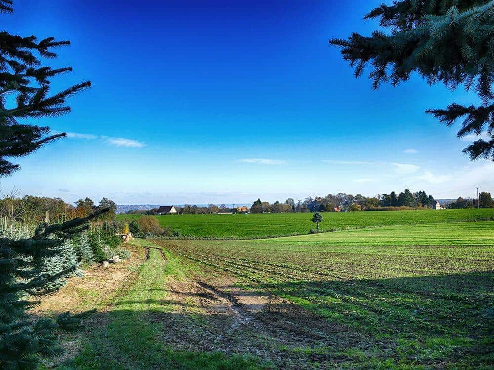 Aussicht Feld Landschaft Acker