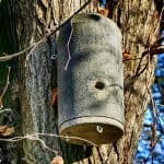 Nistkasten Baum Natur