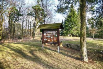 Koenig Albert Turm Weinboehla 11