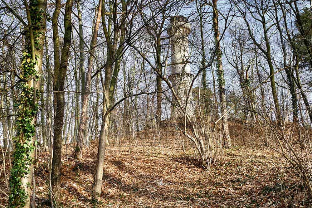 Koenig-Albert-Turm Weinböhla Wald
