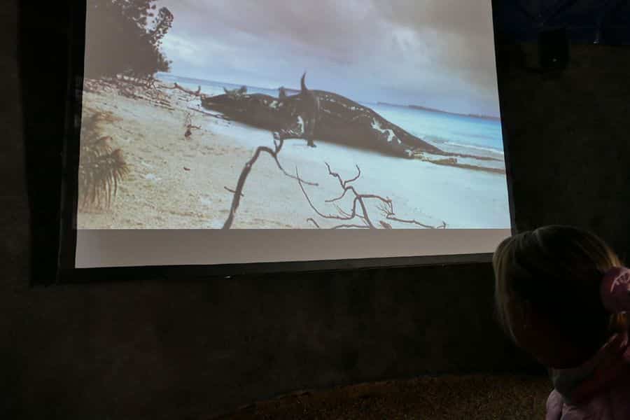 Film über Saurier aus dem Meer Saurierpark Kleinwelka