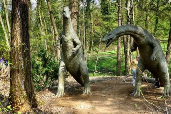 Saurier im Wald saurierpark kleinwelka bild 036