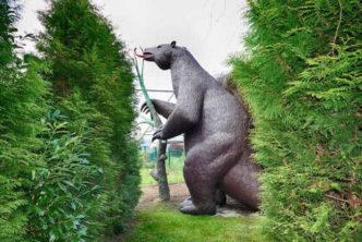 Bär mit langer Zunge saurierpark kleinwelka bild 046