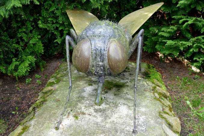 Die Monster Mücke / Fliege