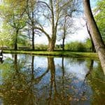 Teich Ufer Bäume Entenhaus Schloss Pillnitz